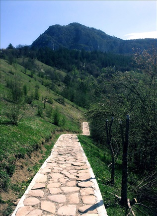 Entry görseli