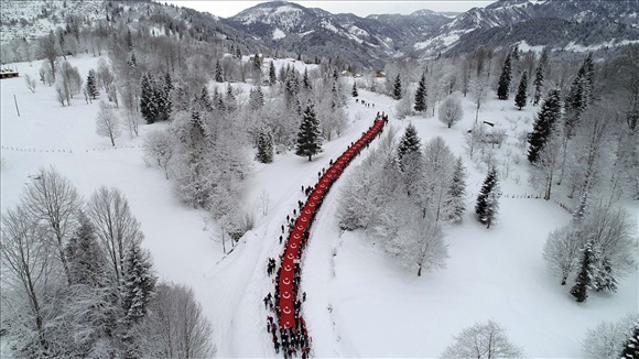 Entry görseli