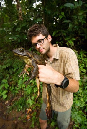 Entry görseli