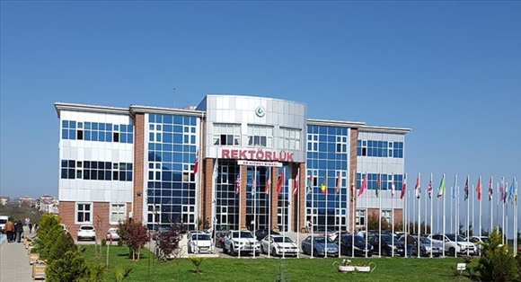 Entry görseli